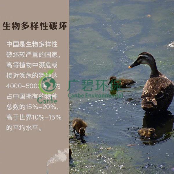 世界地球日 我們能為地球做些什么?(圖6) 世界地球日 我們能為地球做些什么?(圖6)