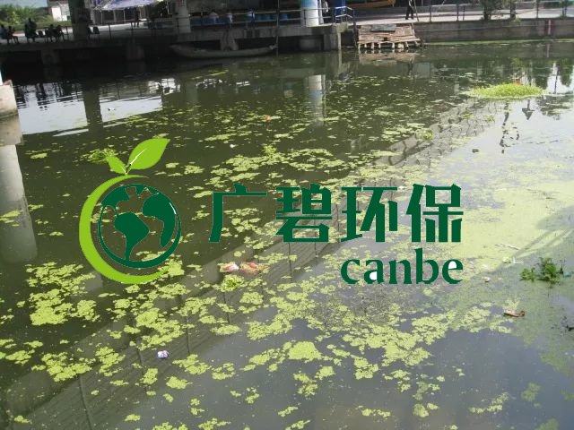 城市黑臭河道如何治理?河道黑臭水體治理思路(圖3) 城市黑臭河道如何治理?河道黑臭水體治理思路(圖3)