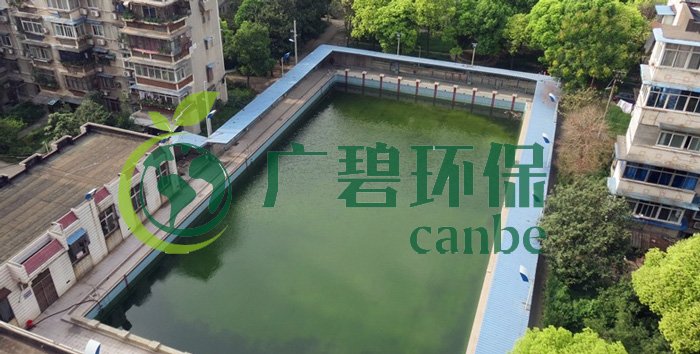 游泳池水變綠是什么原因?游泳池水處理方法(圖1) 游泳池水變綠是什么原因?游泳池水處理方法(圖1)