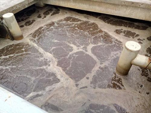 什么是制革廢水？制革廢水特點與處理工藝