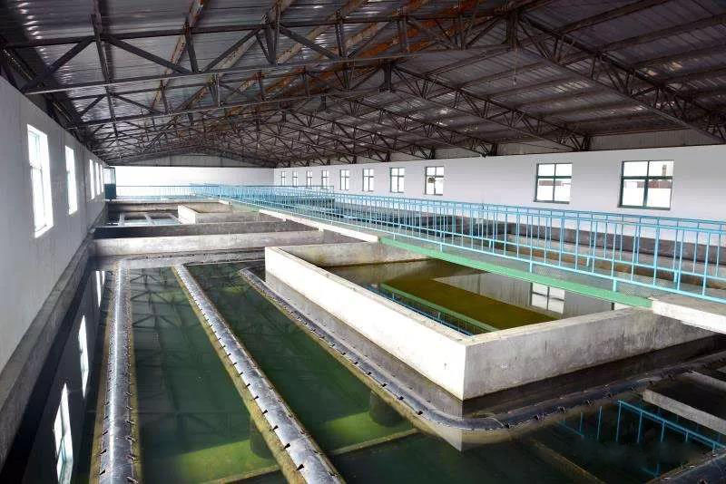 什么是制糖廢水？制糖廢水處理技術