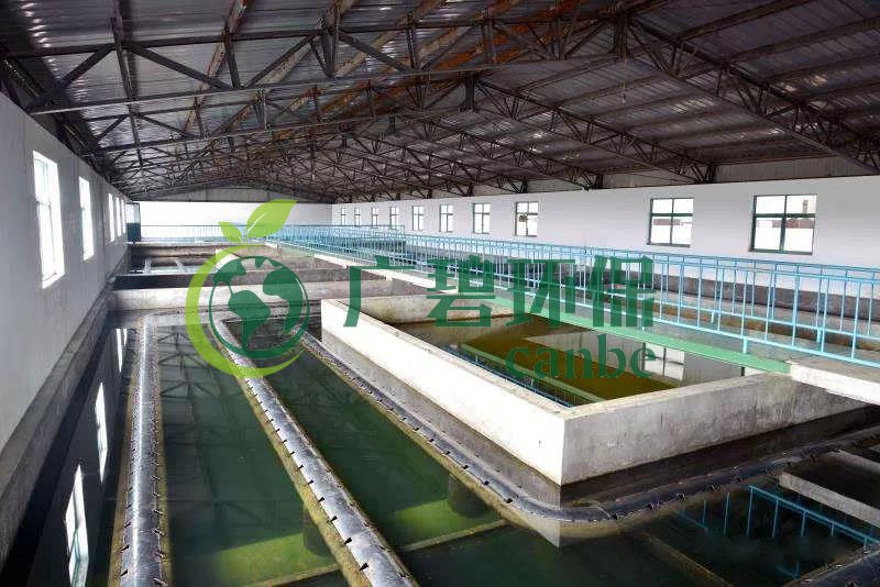 什么是制糖廢水？制糖廢水處理技術(shù)(圖1)