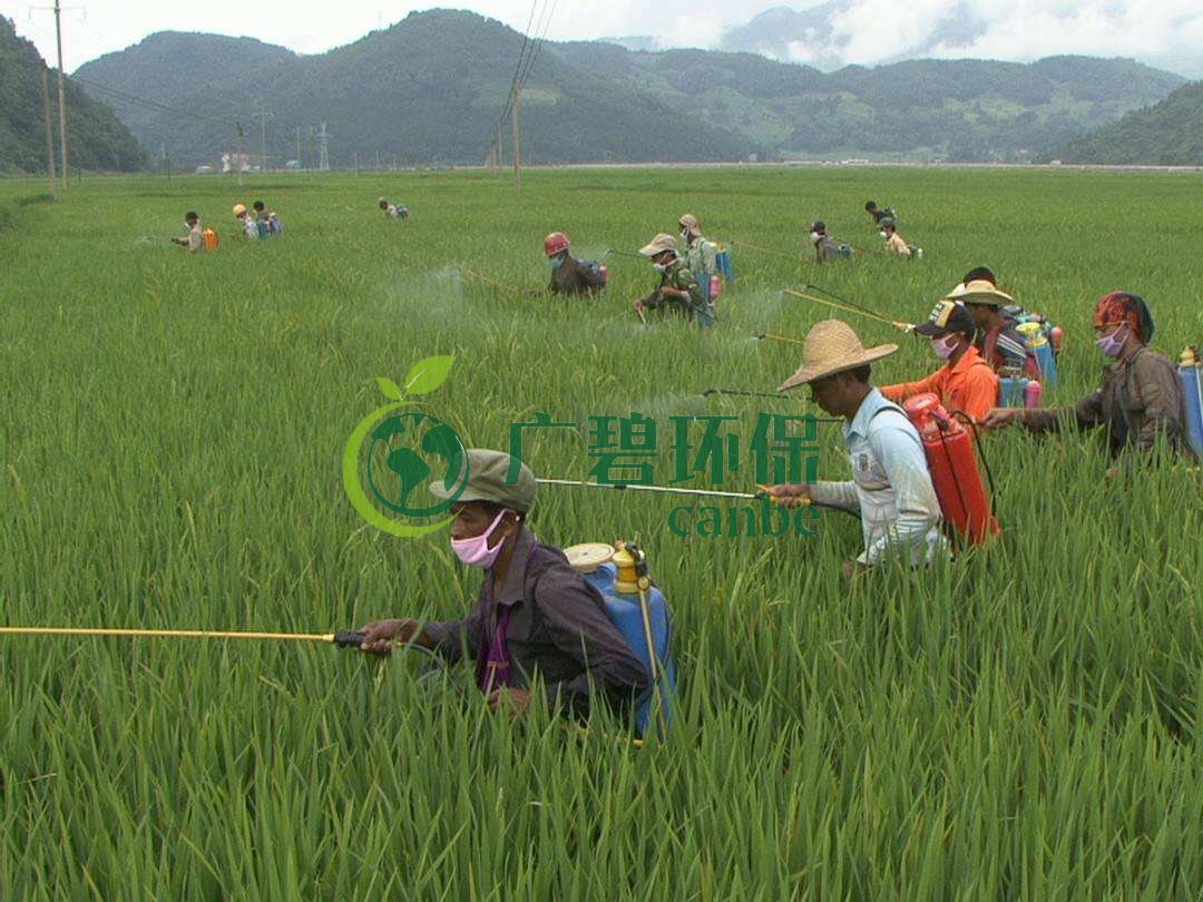 農(nóng)藥廢水是什么?農(nóng)藥廢水特點與處理工藝(圖1) 農(nóng)藥廢水是什么?農(nóng)藥廢水特點與處理工藝(圖1)