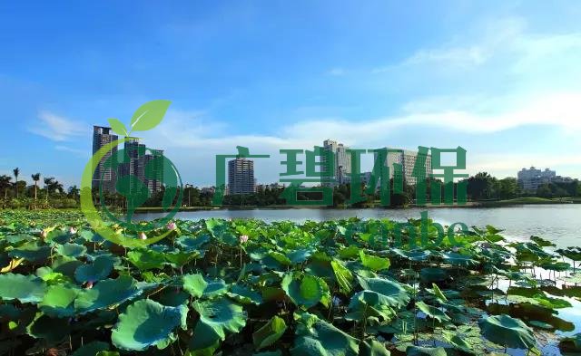 佛山市各區鎮空氣質量與水環境質量排名2019年1-5月(圖1) 佛山市各區鎮空氣質量與水環境質量排名2019年1-5月(圖1)