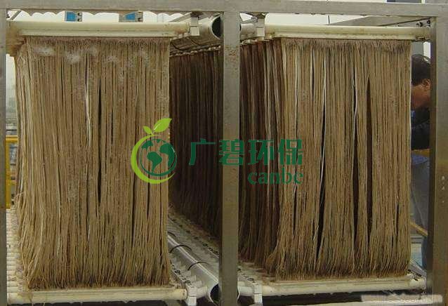 MBR膜如何選型?膜組件如何清洗?MBR知識分享(圖1) MBR膜如何選型?膜組件如何清洗?MBR知識分享(圖1)