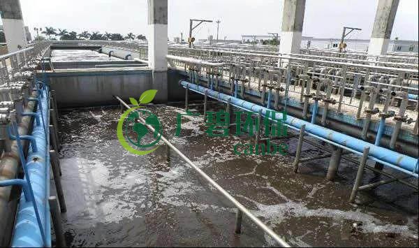 污水氨氮超標怎么解決？氨氮超標原因與解決方法(圖1)