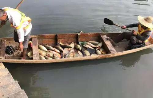 廣州旺旺食品廢水直排，永和河大量魚類死亡