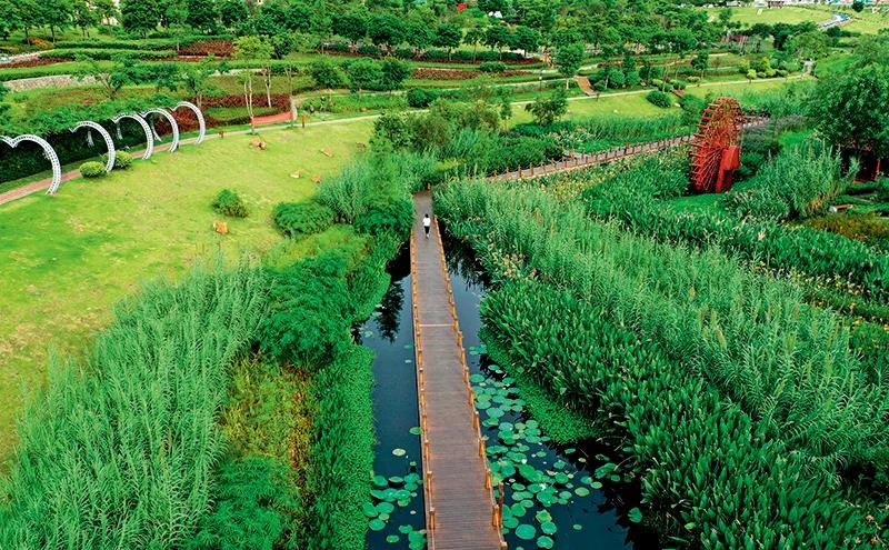 部分黑臭水體出現(xiàn)反彈,治理難在哪兒?