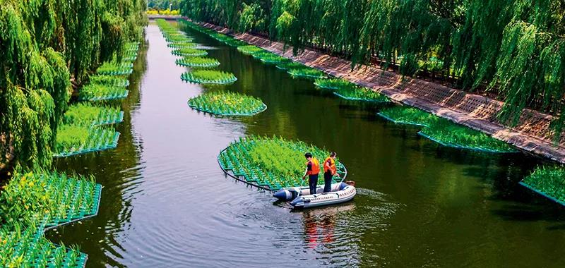 部分黑臭水體出現(xiàn)反彈,治理難在哪兒?(圖2) 部分黑臭水體出現(xiàn)反彈,治理難在哪兒?(圖2)