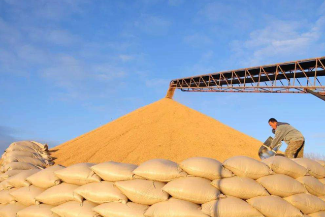 土壤修復市場，該火了！